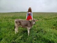 Person und Kalb auf einer Wiese