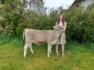 Person und Kalb auf einer Wiese