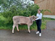 Person und Kalb auf einer Wiese