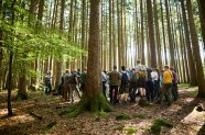 Eine Gruppe von Personen im Wald